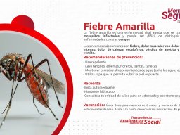 Prevención contra fiebre amarilla